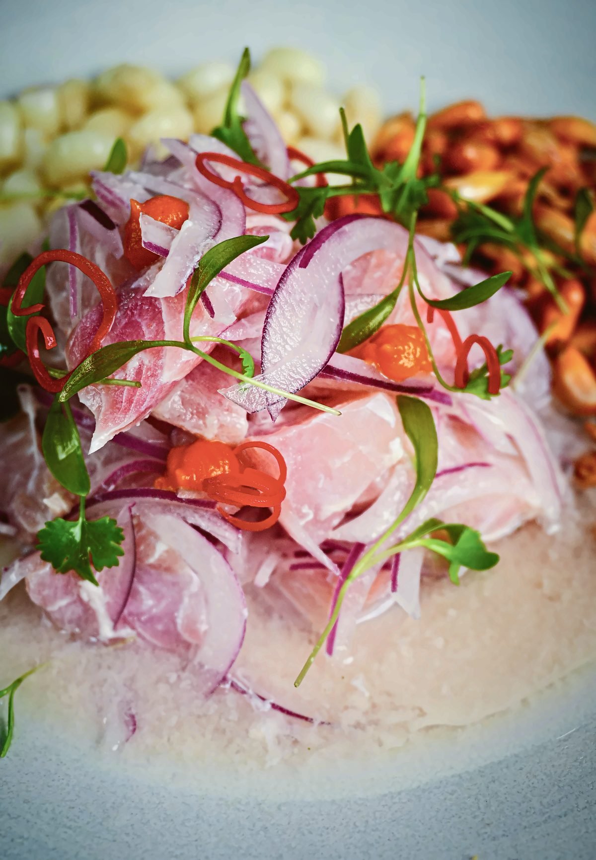 Cebiche — Killa